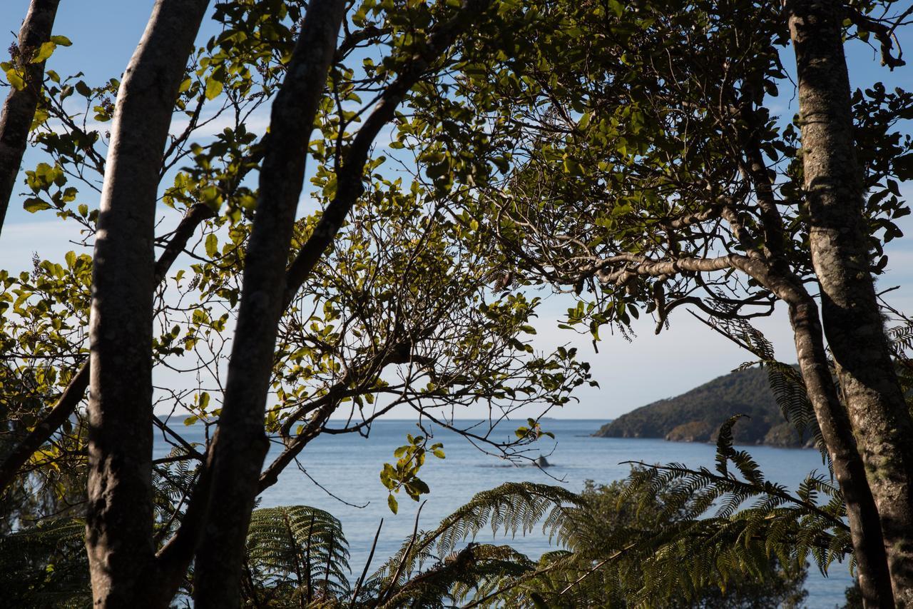 Church Hill Boutique Lodge & Restaurant Half-moon Bay Экстерьер фото